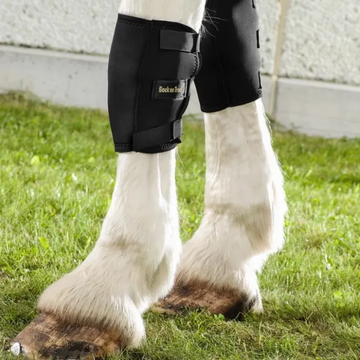 Back on Track Genouillère Droite Cheval Hot