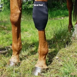 Back on Track Genouillère Gauche Cheval New