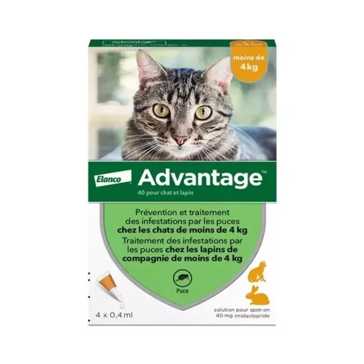 Bayer Advantage Pipette Anti Puce Chat Sale