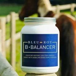 Bleu-Roy B-Balancer Sale