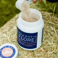 Bleu-Roy B-Flore Outlet