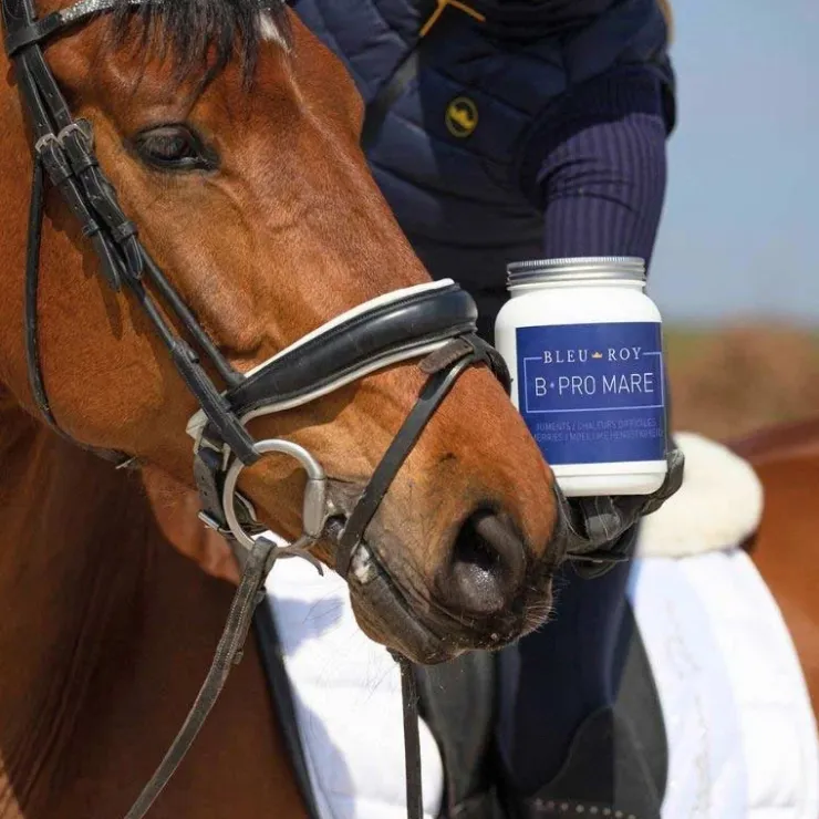 Bleu-Roy B-Pro Mare Best