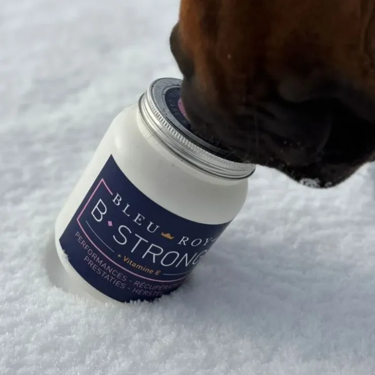 Bleu-Roy B-Strong Clearance