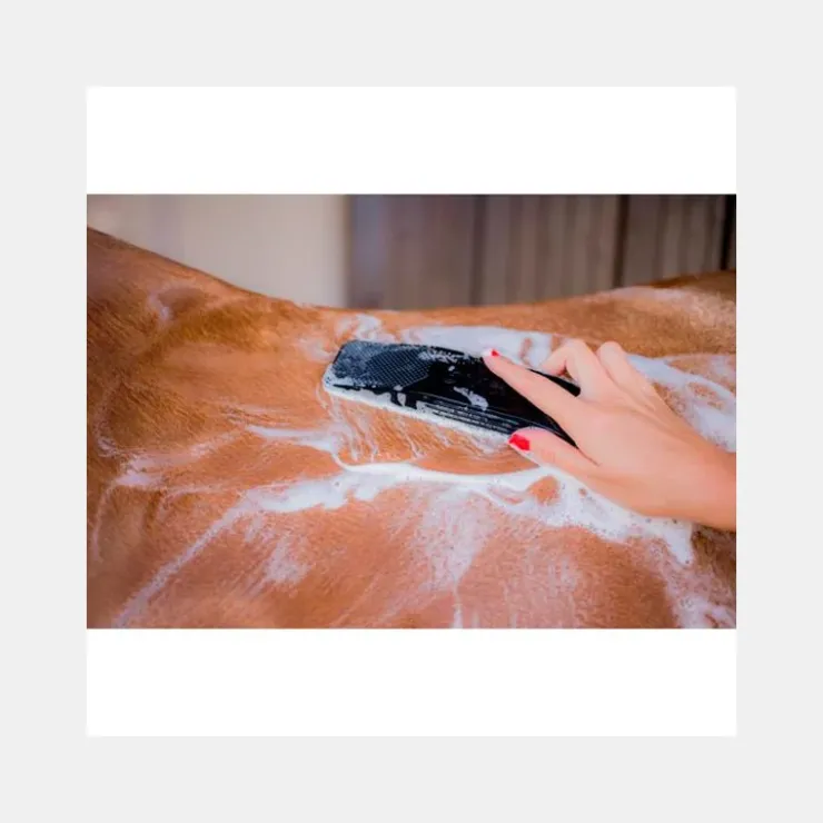 Betty's Best Brosse Gentle Groomer Online