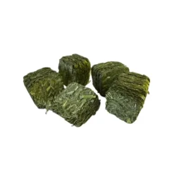 CGP Horse Feed Wafer Forte Performance Sale