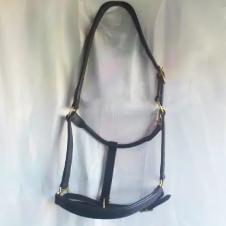 Cheval Energy - Les Equipements Cheval Energy Licol en Cuir - Noir Outlet