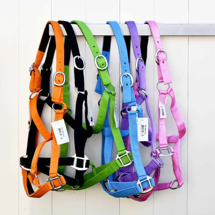 Cheval Energy - Les Equipements Cheval Energy Licol en Nylon - Rouge Clearance