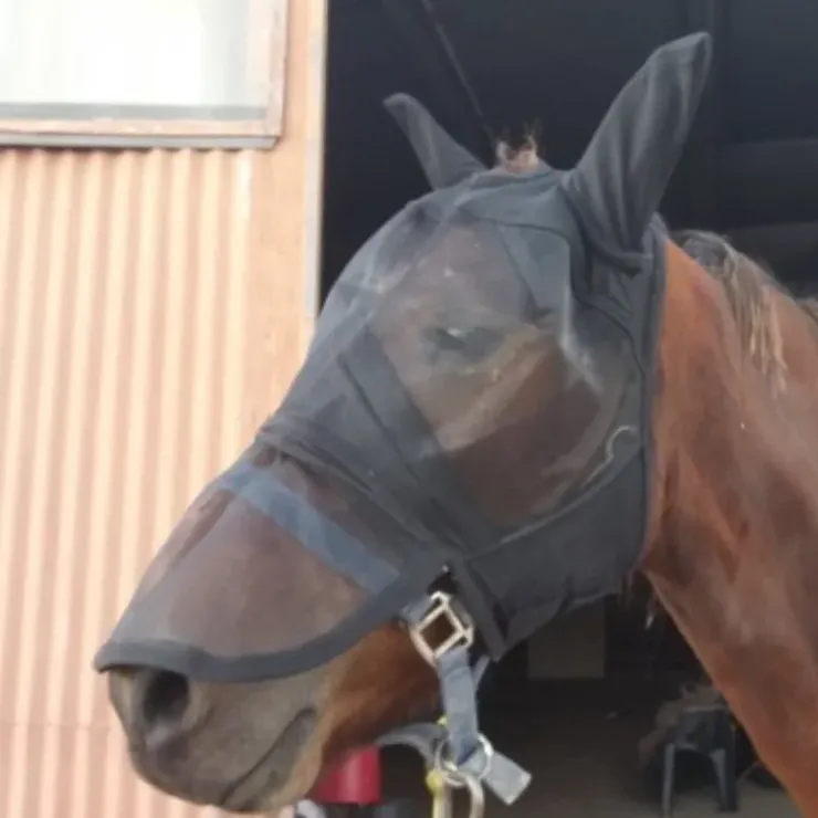 Cheval Energy - Les Equipements Cheval Energy Masque Anti-Mouches et Anti-UV Hot