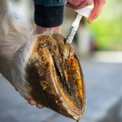 Cura Naturale Huile Sabots Sensibles Best