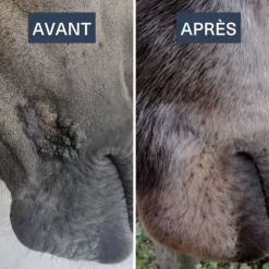 DRJ developpement Serkyl Outlet