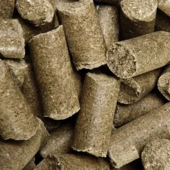 Speed Friandise Cheval Delicious ies Pomme Outlet