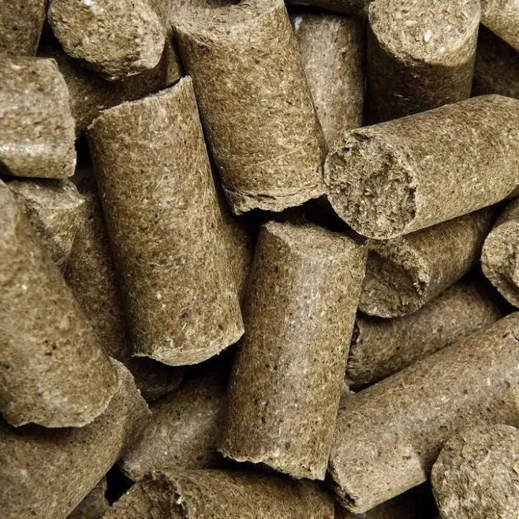 Speed Friandise Cheval Delicious ies Pomme Outlet