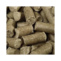 Speed Friandise Cheval Delicious ies Eucalyptus Clearance