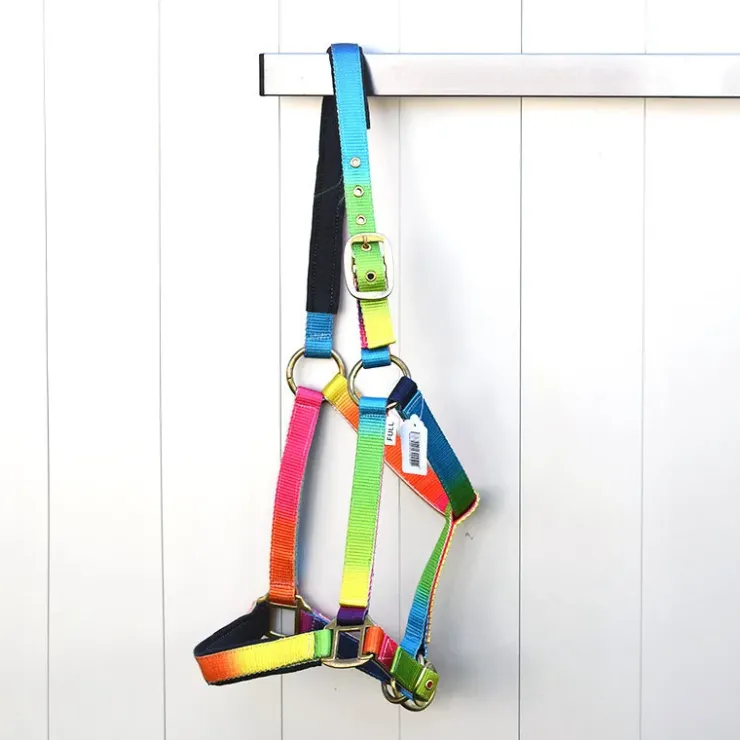 Gamme du Marechal Gamme du Maréchal Licol - Multicolore