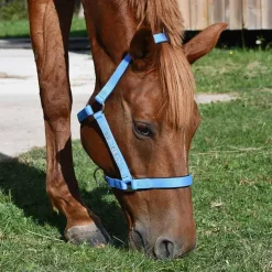 Gamme du Marechal Gamme du Maréchal Licol Nylon Triple Épaisseur - Noir Hot