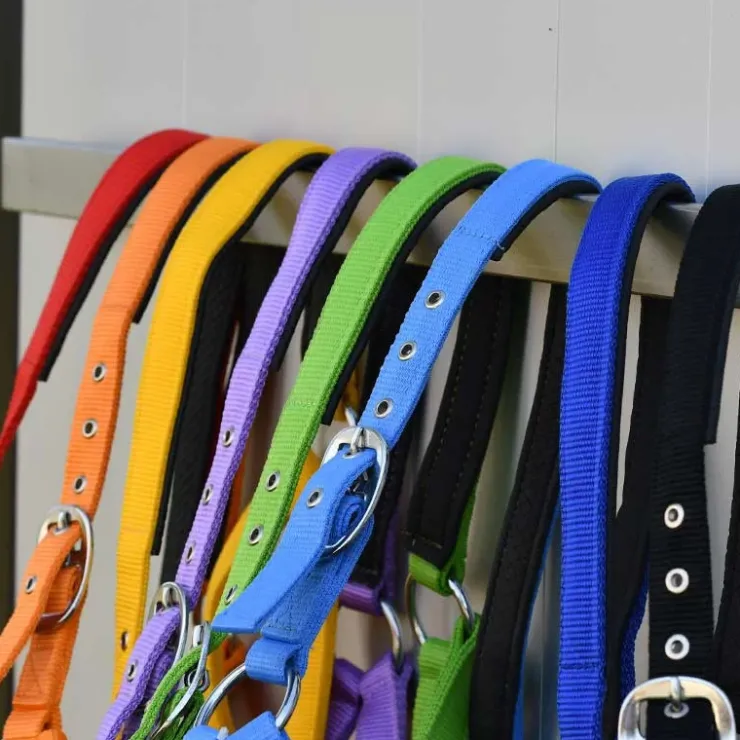 Gamme du Marechal Gamme du Maréchal Licol Nylon Triple Épaisseur - Vert Discount