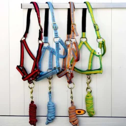 Gamme du Marechal Gamme du Maréchal Licol Triple Épaisseurs + Longe - Noir / Rouge Best