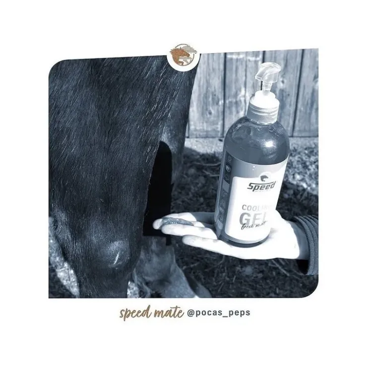 Speed Gel Refroidissant Cheval Cooling Gel Best