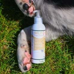 Happy Scoop - Balm Chien Hot