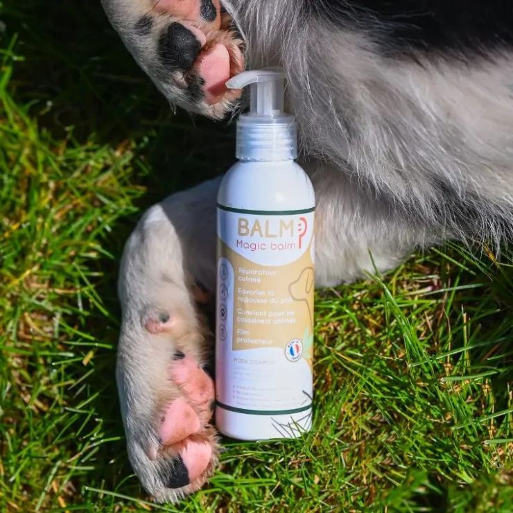 Happy Scoop - Balm Chien Hot