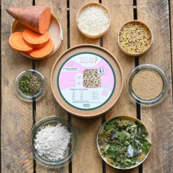 Happy Scoop - Relax Chien New