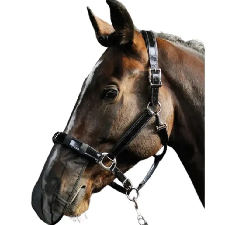 Harry's Horse Protège Naseaux Anti Mouche Hot