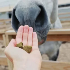 Hilton Herbs Herballs n°3 Framboisier & Guimauve Friandises Cheval