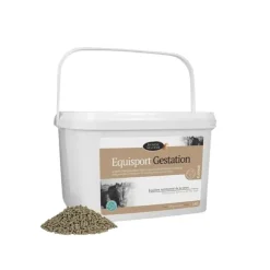 Horse Master Equisport Gestation Lactation Clearance