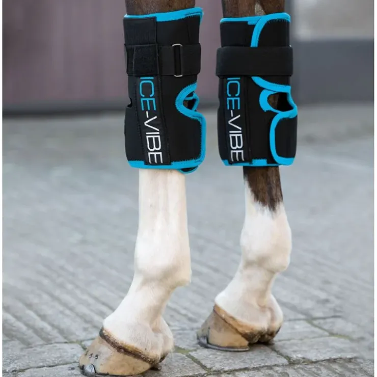 Horseware Ice Vibe Guetre Cheval Clearance