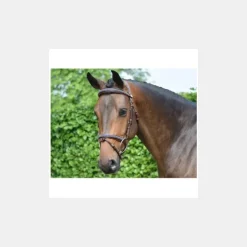 Jump'In Bridon Crystal Collection Week - Cristal Marine Sale