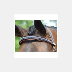 Jump'In Bridon Crystal Collection Week - Cristal Marine Sale