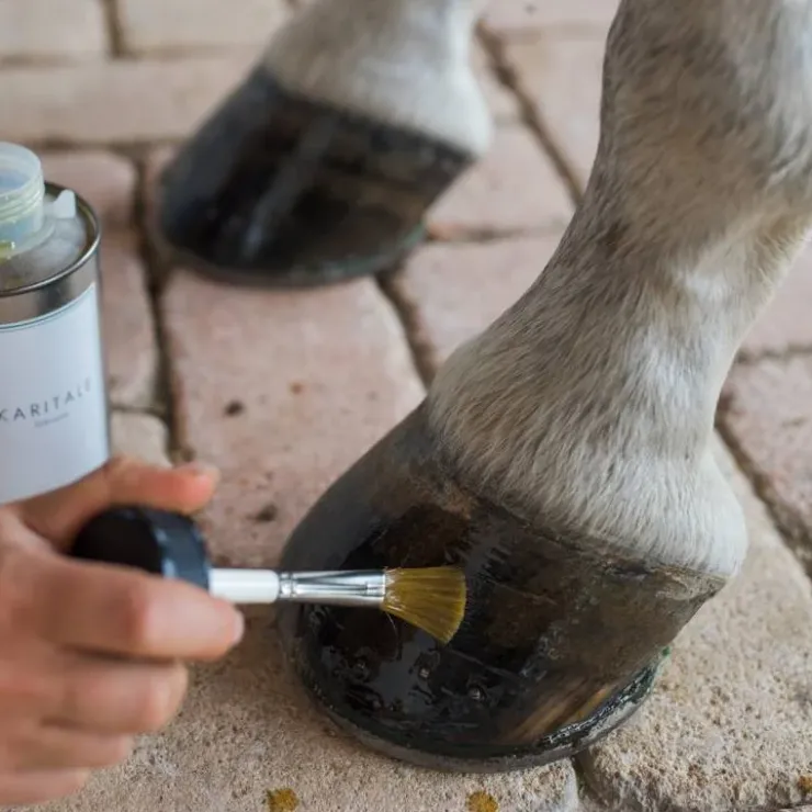 Karitale Huile de Soin pour Sabot Clearance