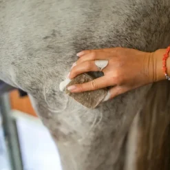 Karitale Shampoing Solide Classique