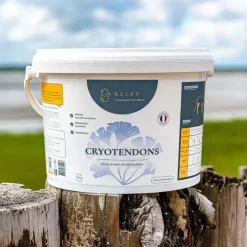 Kelpy Cryotendons Hot