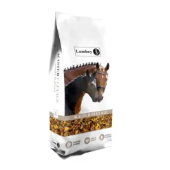 Lambey Master Elevage Floconné Poulinière & Poulain New