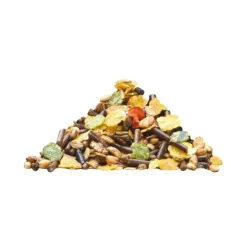 Lambey Old Master Floconné Cheval Agé Outlet