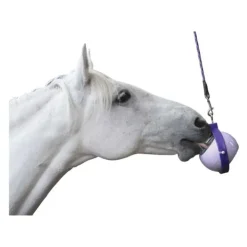 Likit Boredom Buster Support Little Hot