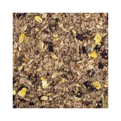 Speed Mash Cheval Saveur Pomme Online