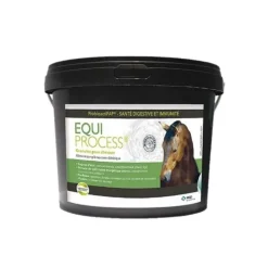 Laboratoire MSD MSD Equi Process Best