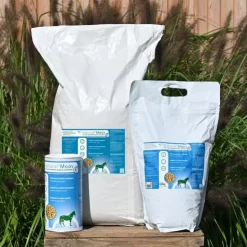 Natural Innov Natural Moov Articulation Cheval Online