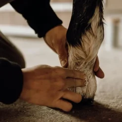 Nellumbo Baume Protecteur & Hydratant Outlet