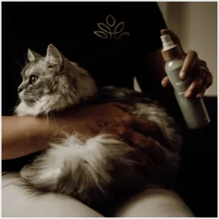 Nellumbo Démêlant Lustrant Chien & Chat Hot