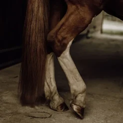 Nellumbo Démêlant Naturel Crins Hot