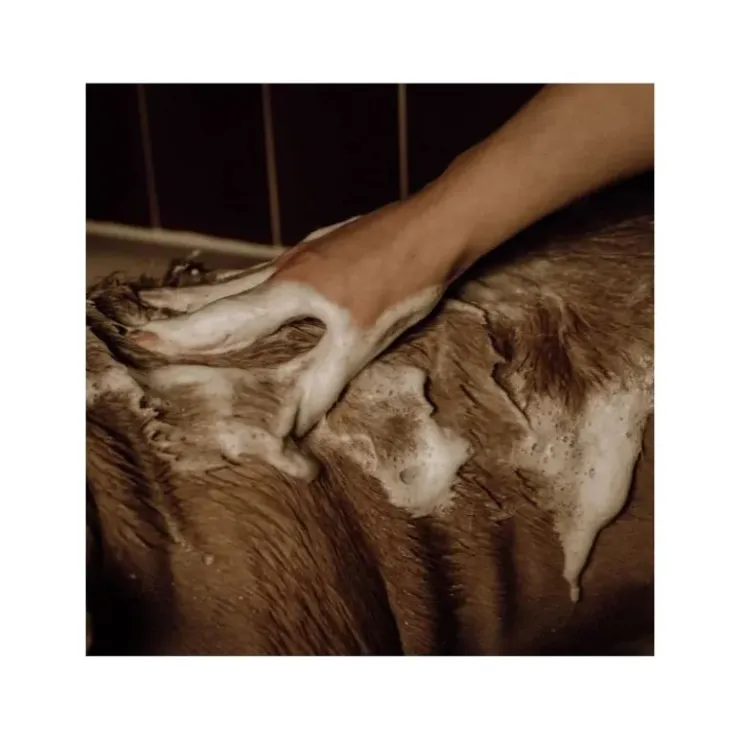 Nellumbo Shampoing Chien Poudre Moussant New