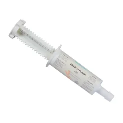 Nutragile Energy Flash Seringue