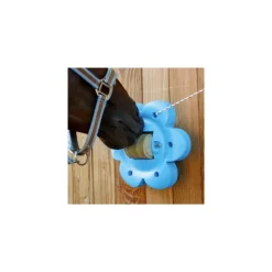 Officinalis Support Lollyflower Sale