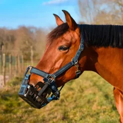 Stop Fourbure Panier Stop'Fourbure Online