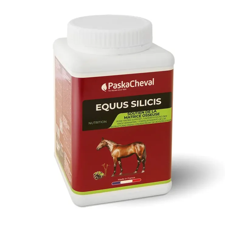 Paskacheval Equus Silicis Clearance