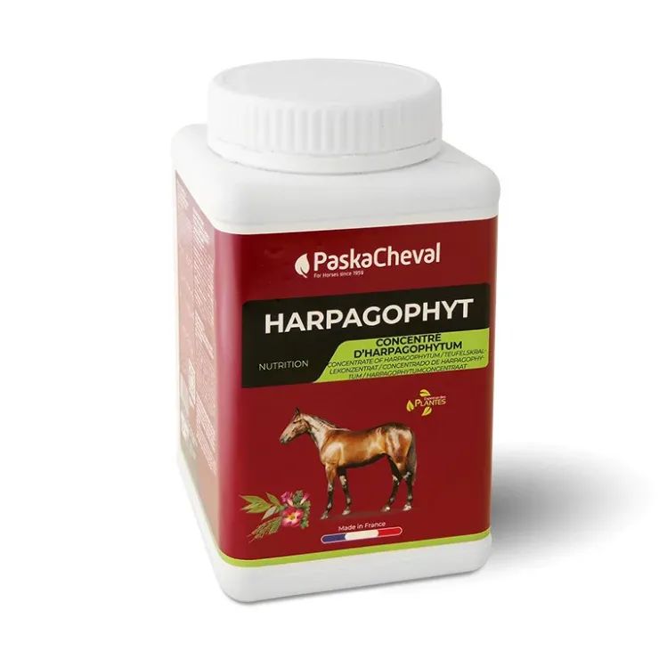 Paskacheval Harpagophyt