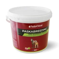 Paskacheval Paskabreeding CMV Cheval Sale